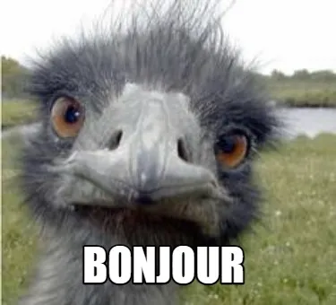 Bonjour