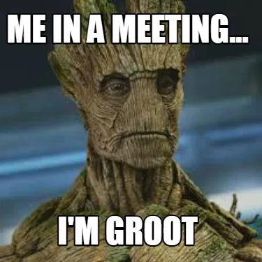 Me in a meeting... I'm groot