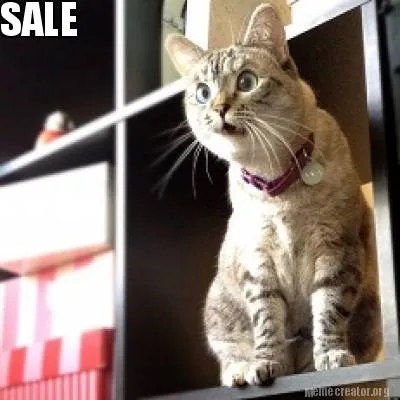 SALE