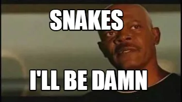 Funny Snakes i'll be damn
