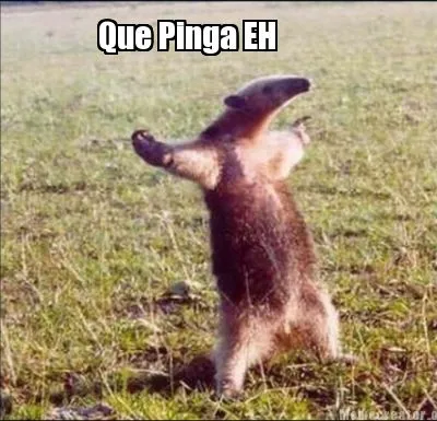 Que Pinga EH