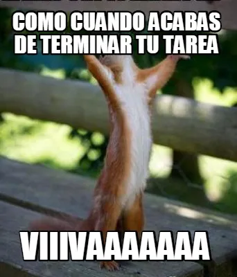 Como cuando acabas de terminar tu tarea viiivaaaaaaa