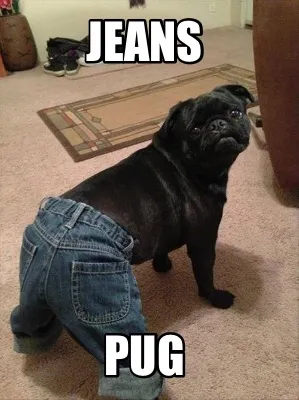 Jeans Pug