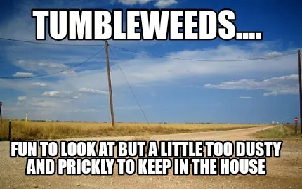 Funny TUMBLEWEEDS.... FUN TO LOOK AT BUT A LITTLE TOO DUSTY AND PRICKLY TO KEEP IN THE