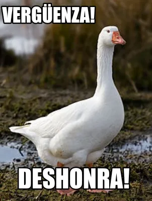 Funny Vergüenza! Deshonra!