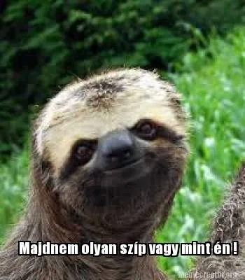 Majdnem olyan szíp vagy mint én !