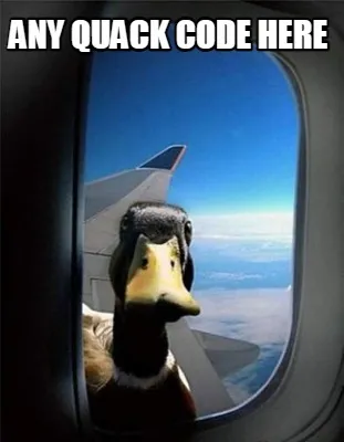 Funny Any Quack Code here