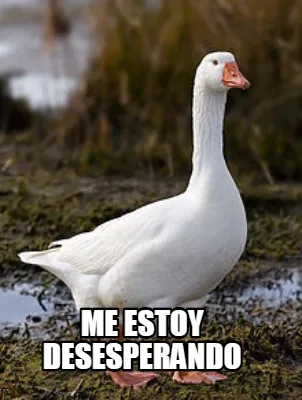 Funny me estoy desesperando
