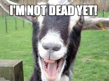 Funny i'm not dead yet!