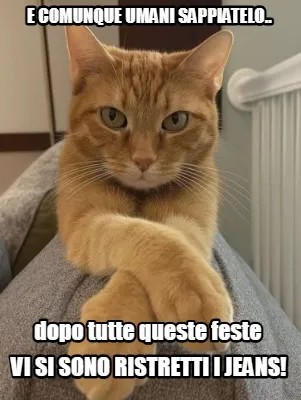 Funny e comunque umani sappiatelo.. dopo tutte queste feste vi si sono ristretti i jea