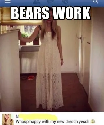 Funny Bears work