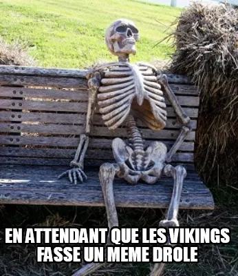 EN ATTENDANT QUE LES VIKINGS FASSE UN