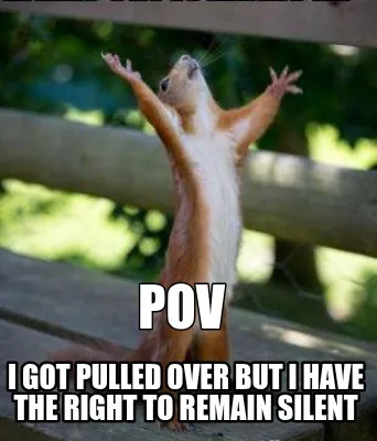 Pov I got pulled over but I have the right to remain silent