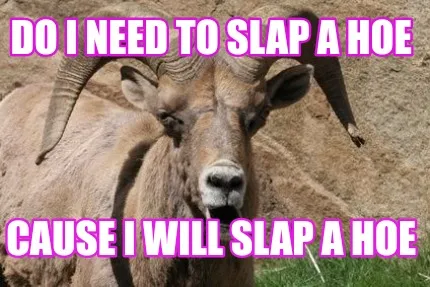 Do I need to slap a hoe Cause I will slap a hoe