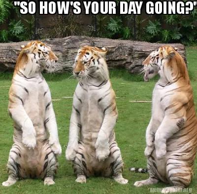 Funny "SO HOW'S YOUR DAY GOING?"