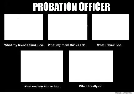 Probation Officer