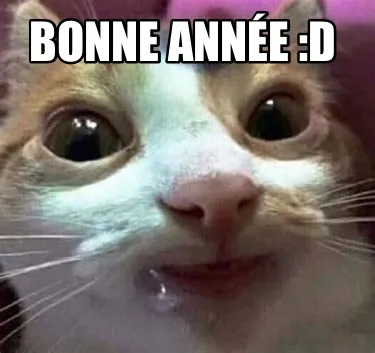 Bonne année :D