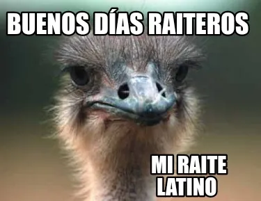 Funny Buenos días Raiteros Mi raite Latino