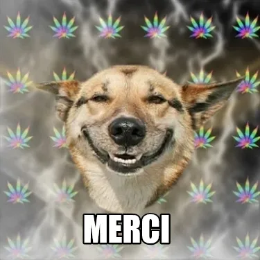 Funny MERCI