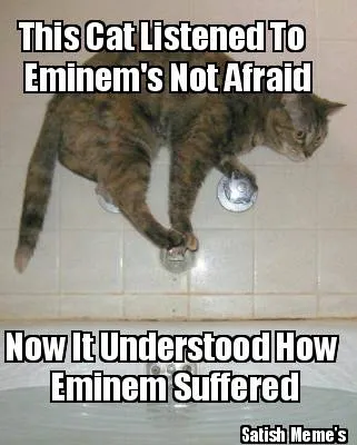 This Cat Listened To Eminem's Not Afraid Now It Understood How Eminem Suffere