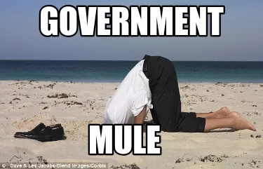 Government Mule