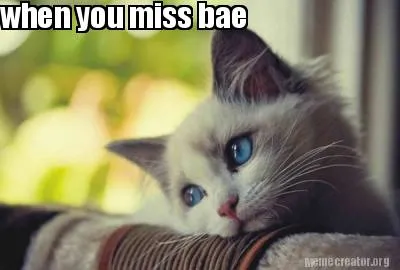 When you miss bae