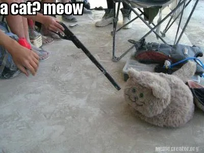 Funny a cat? meow
