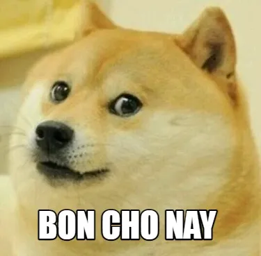 Funny bon cho nay
