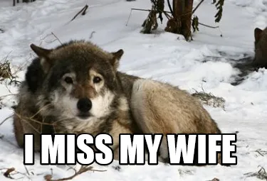 Funny I MISS MY WIFE