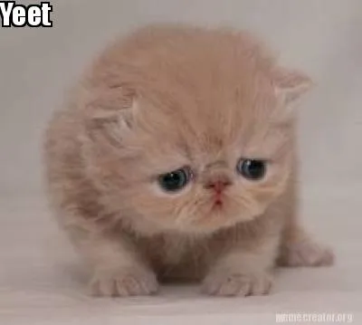 Yeet