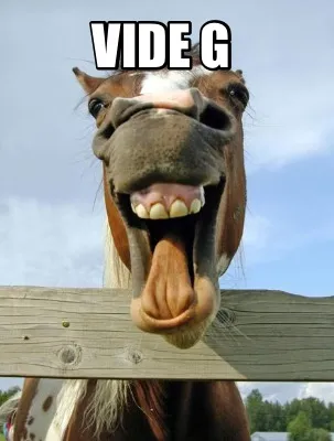 Funny Vide g