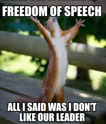 Freedom of Speech All i said was i don't like our leader