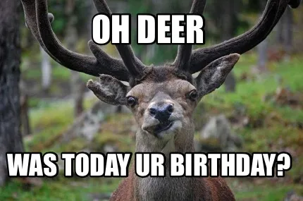 Funny Oh deer Was today ur birthday?