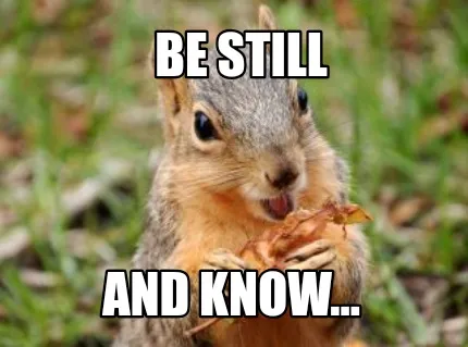 Funny BE STILL And know...