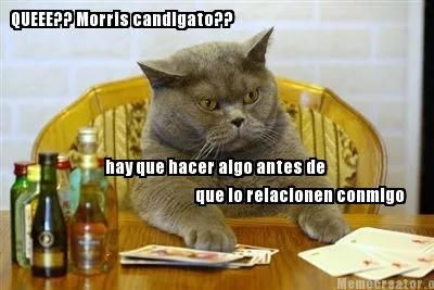 Funny QUEEE?? Morris candigato?? hay que hacer algo antes de que lo relacionen conmi