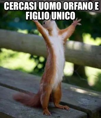 Funny Cercasi uomo orfano e figlio unico