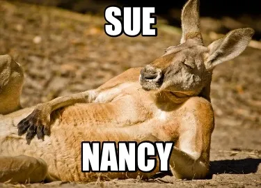 Funny Sue Nancy