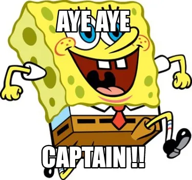 Funny Aye aye Captain !!
