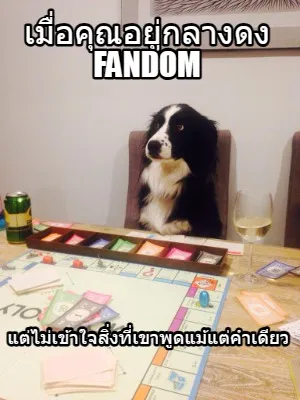 Fandom