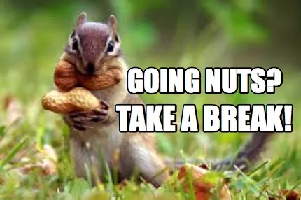 Going Nuts? Take a Break!