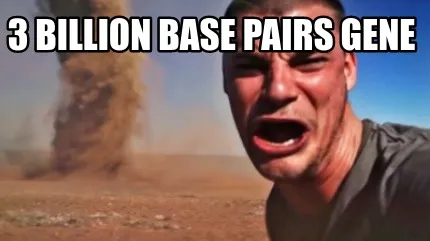 Funny 3 billion base pairs gene