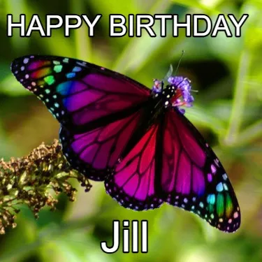 Funny Happy Birthday Jill