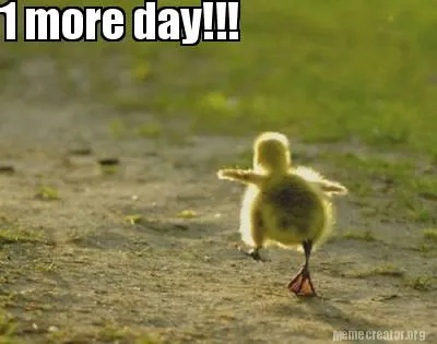 Funny 1 more day!!!
