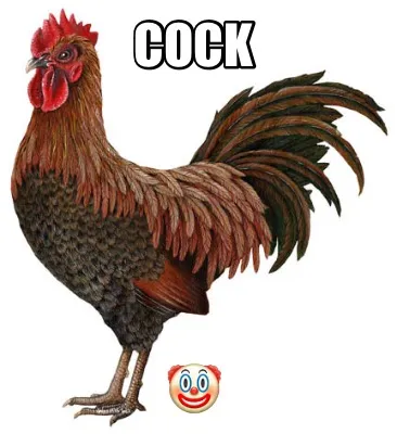 Funny COCK ????