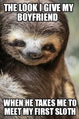 Funny The look I give my boyfriend When he takes me to meet my first sloth