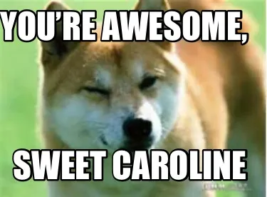 Funny You’re awesome, Sweet Caroline