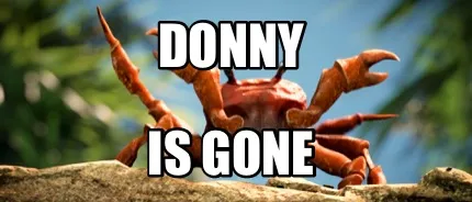 Donny Is Gone