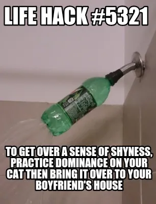 Funny Life hack #5321 To get over a sense of shyness, practice dominance on your cat t