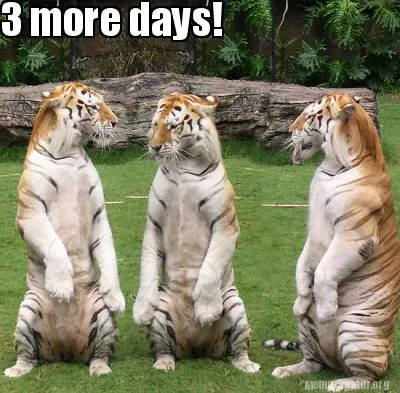 3 more days!