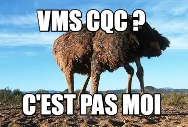 Vms CQC ? C'est pas moi